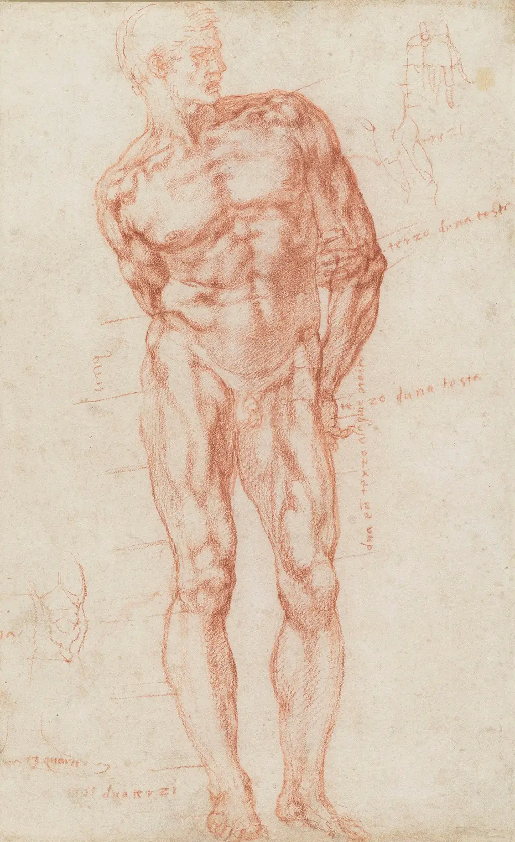 A Male with Proportions Indicated in Detail Michelangelo